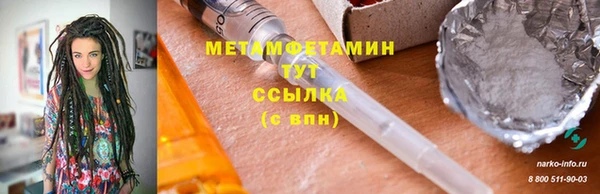 прущие грибы Усинск
