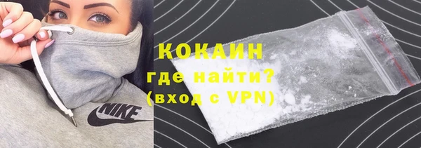 прущие грибы Усинск