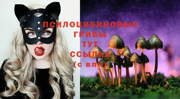 герыч Усмань