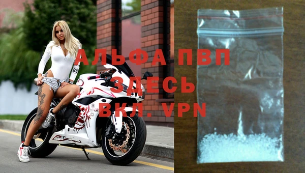 прущие грибы Усинск