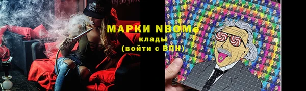 прущие грибы Усинск