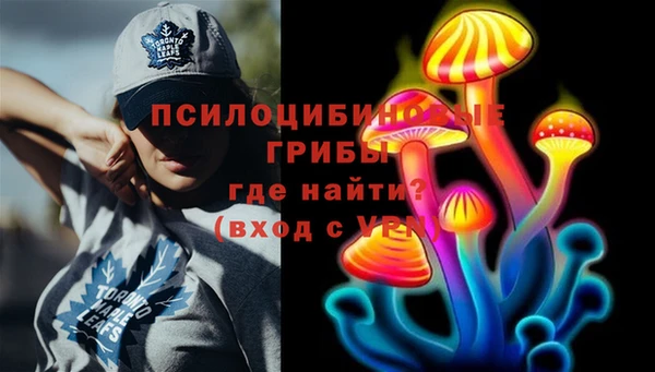 стаф Алексин